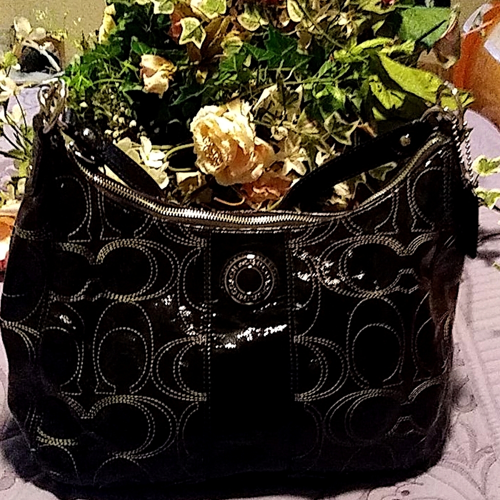 Coach handbag (506)